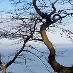 2 Im Lohme-hagen Im Nationalpark *
