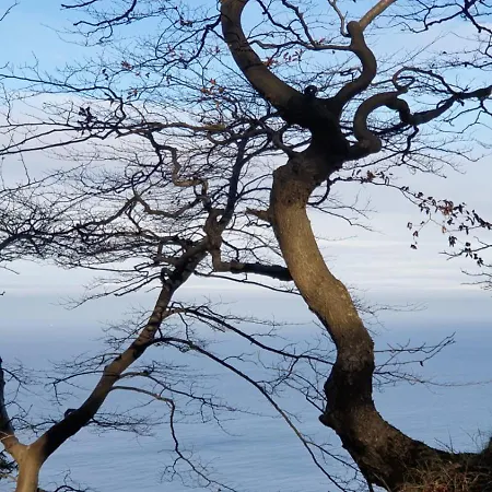 2 Im Lohme-hagen Im Nationalpark *